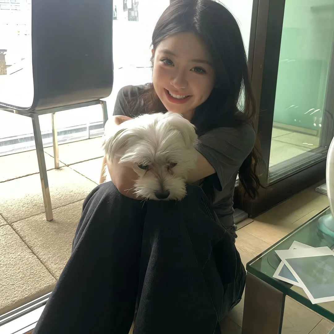 来去美国2
