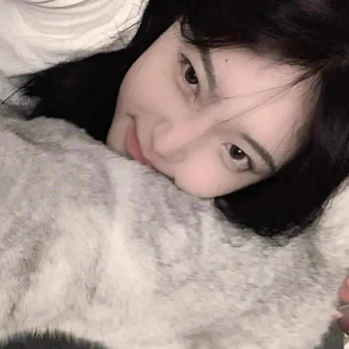 飞向月球