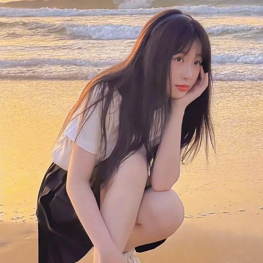 与鲨共游